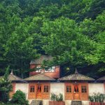 اقامتگاه جنگلی کیوتی کاتیج در لفور مازندران/