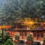 اقامتگاه جنگلی کیوتی کاتیج در لفور مازندران/