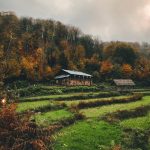 اقامتگاه بومگردی پیله بابا در روستای کچا رشت/