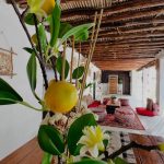 شین هاوس در جزیره قشم/