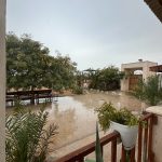 اقامتگاه بومگردی جالبوت بوجیکدان در بوشهر/