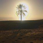 واحد بلوچ لیدر محلی در چابهار