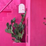 اقامتگاه ماژ در روستای سلخ قشم/