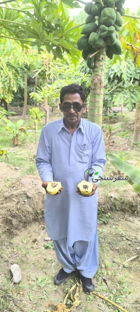 لیدر محلی چابهارسفر