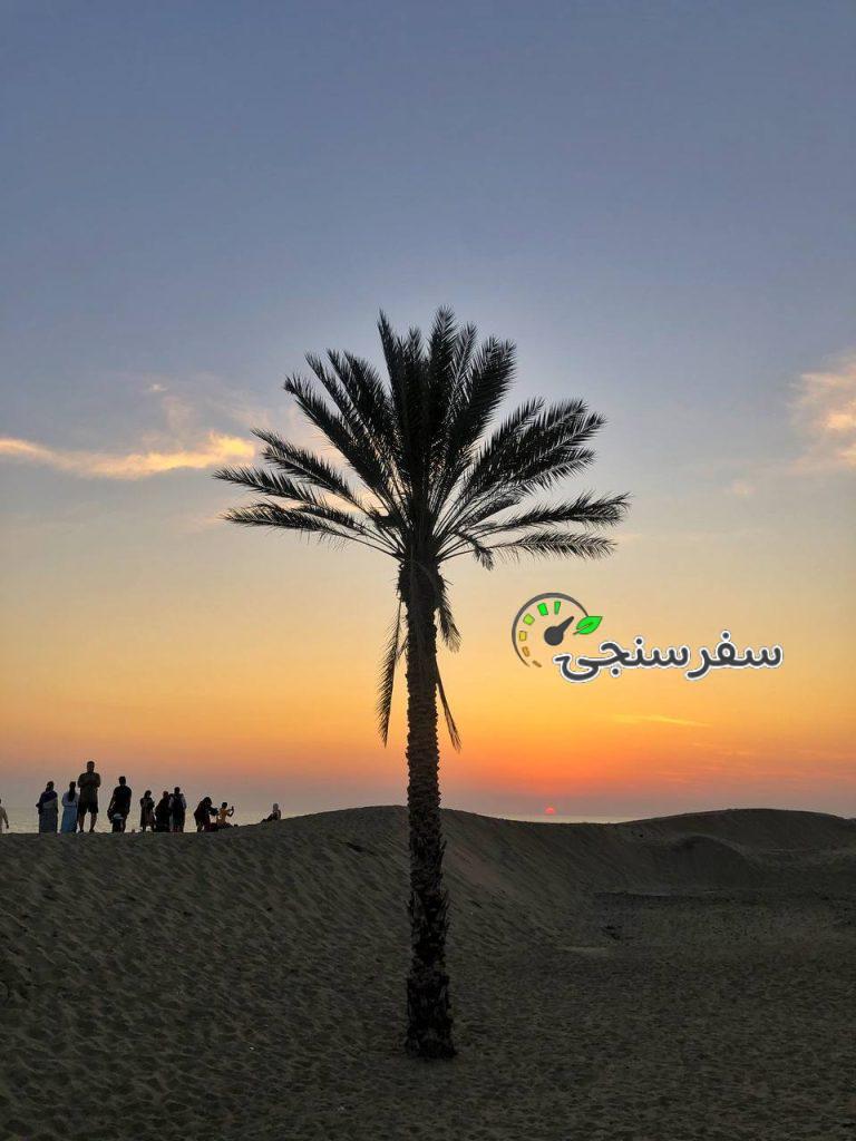 لیدر محلی چابهار(چابهارگردی)