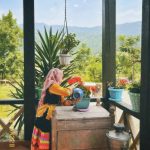 اقامتگاه بومگردی پائیزان در رشت گیلان/