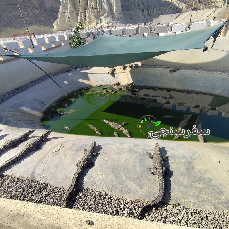 لیدر محلی سعید محسن زاده در چابهار