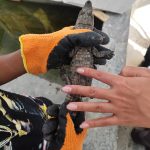 لیدر محلی سعید محسن زاده در چابهار