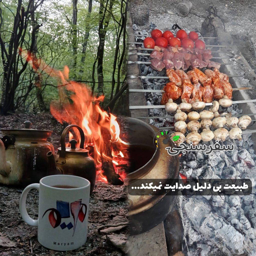 آشپزی در طبیعت