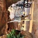 نرگس سراجیان تهرانی